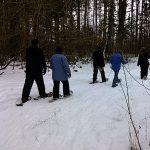 Learn to Snowshoe - Kinnickinnic County Forest