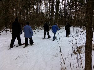 Learn to Snowshoe - Kinnickinnic County Forest