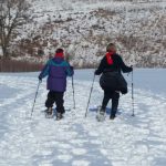 Learn to Snowshoe
