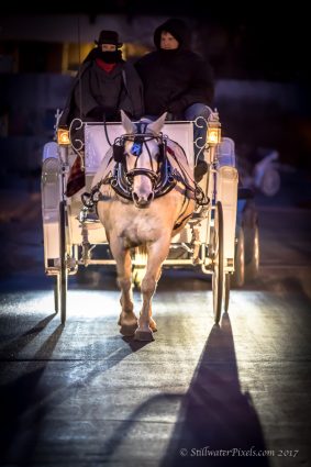 Gallery 3 - Horse-Drawn Carriage Rides