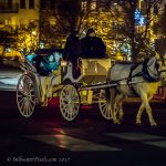 Gallery 4 - Horse-Drawn Carriage Rides