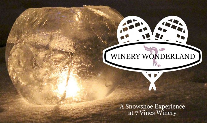 Gallery 2 - Winery Wonderland at 7 Vines Vineyard - WEATHER PERMITTING