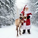 Visit Santa and his Reindeer!