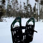 Snowshoe Hike (ages 10 to adult)