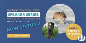 Speaker Series: Wolves of the North Woods - Now Virtual!
