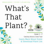 What's That Plant? (June 2022)