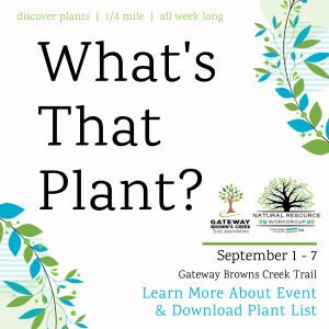 What's That Plant? (September 2022)
