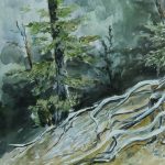 Birds, Trees, River - Charlotte Schuld Artist Talk...