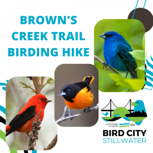 Browns Creek Trail Birding Hike