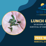 Lunch & Learn: Do Rivers Affect Winter Survival of the Emerald Ash Borer?