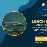 Lunch & Learn: Lake Sturgeon of the St. Croix and Namekagon Rivers
