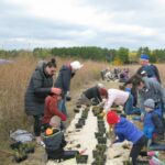 Gallery 1 - Pollinator Planting Party at Pine Point Park East