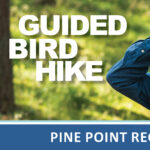Bird Hike at Pine Point Regional Park