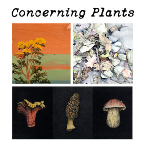 Concerning Plants - Gallery Exhibition