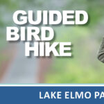 Bird Hike at Lake Elmo Park Reseve