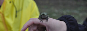 Frog Walk at Oxbow Trails