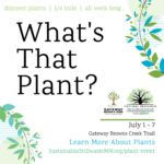 What's That Plant? Event - July 2024