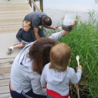 Family Pond Dipping