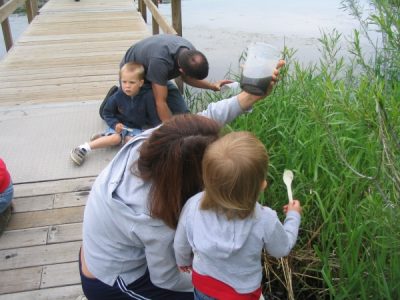 Family Pond Dipping