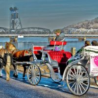 Valentine's Day Carriage Rides