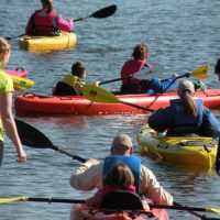 Learn to Kayak on Lily Lake